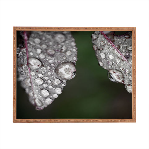 Bird Wanna Whistle Cultivate Rectangular Tray