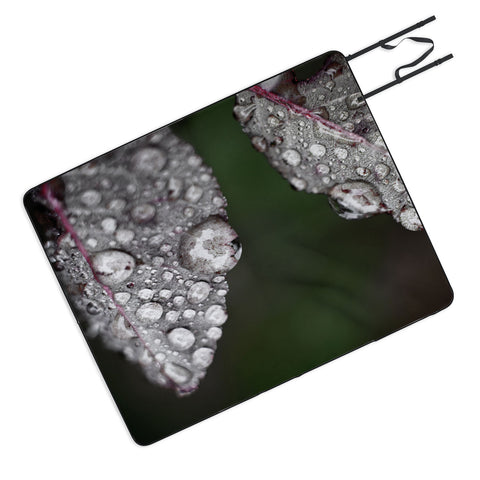 Bird Wanna Whistle Cultivate Picnic Blanket