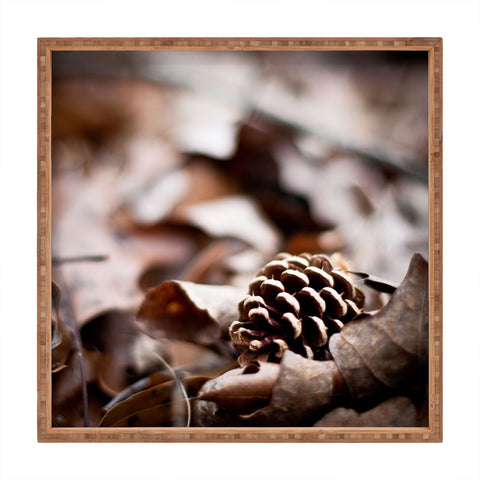 Bird Wanna Whistle Fall 1 Square Tray