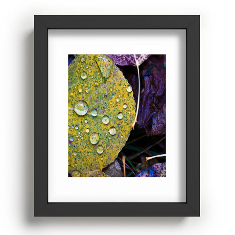 Bird Wanna Whistle Fallen Leaf Recessed Framing Rectangle