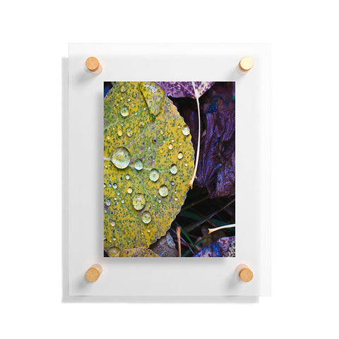 Bird Wanna Whistle Fallen Leaf Floating Acrylic Print