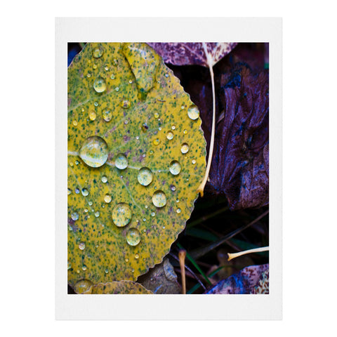 Bird Wanna Whistle Fallen Leaf Art Print