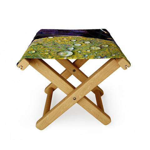 Bird Wanna Whistle Fallen Leaf Folding Stool