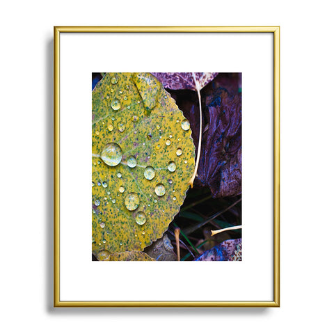 Bird Wanna Whistle Fallen Leaf Metal Framed Art Print