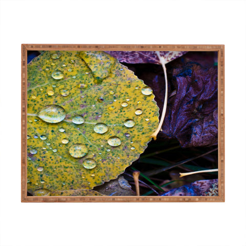 Bird Wanna Whistle Fallen Leaf Rectangular Tray