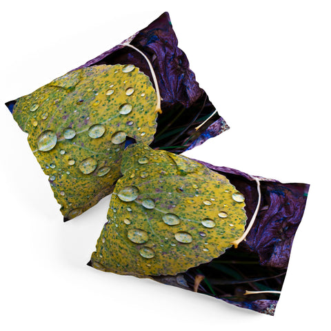 Bird Wanna Whistle Fallen Leaf Pillow Shams