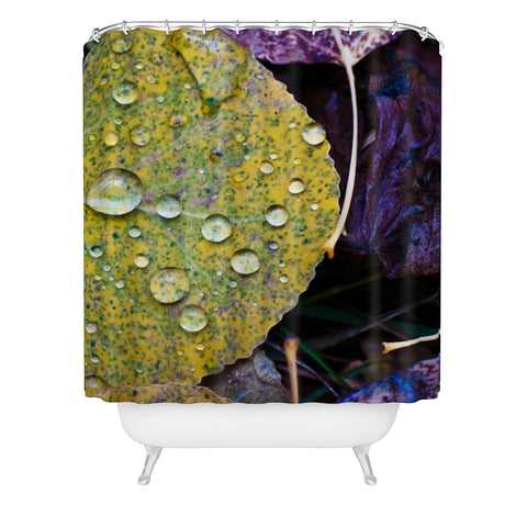 Bird Wanna Whistle Fallen Leaf Shower Curtain