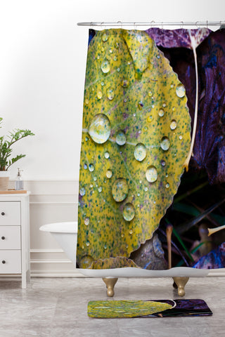 Bird Wanna Whistle Fallen Leaf Shower Curtain And Mat