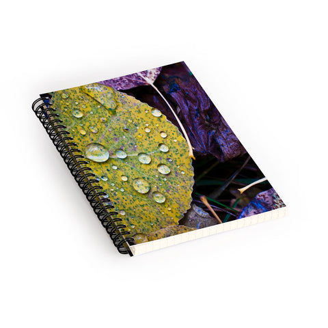 Bird Wanna Whistle Fallen Leaf Spiral Notebook