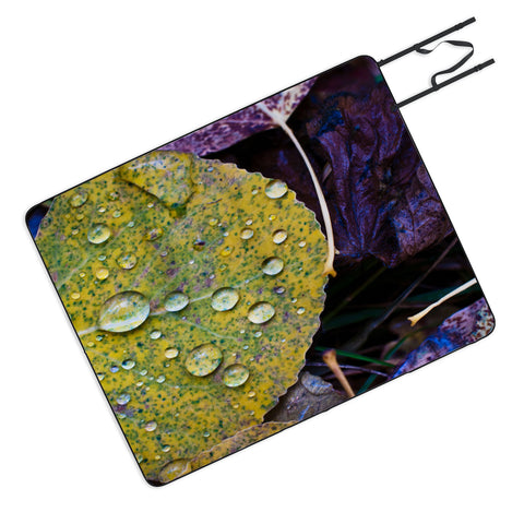 Bird Wanna Whistle Fallen Leaf Picnic Blanket