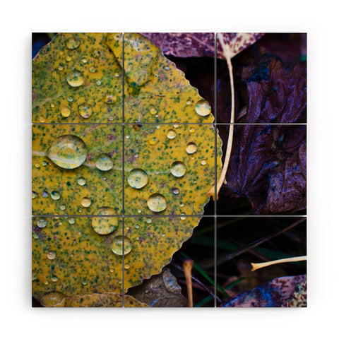 Bird Wanna Whistle Fallen Leaf Wood Wall Mural