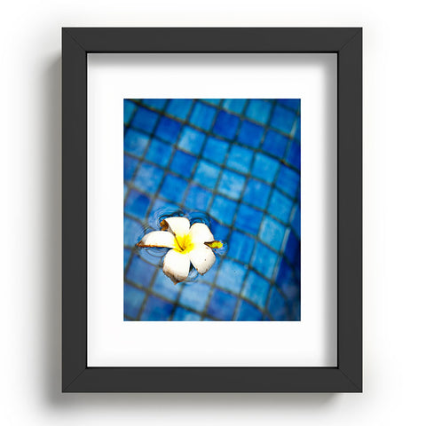 Bird Wanna Whistle Floating Flower Recessed Framing Rectangle