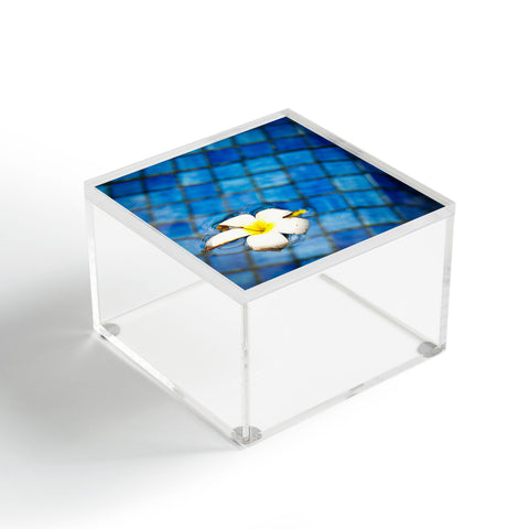 Bird Wanna Whistle Floating Flower Acrylic Box