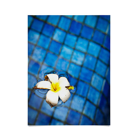 Bird Wanna Whistle Floating Flower Poster