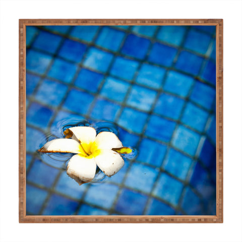 Bird Wanna Whistle Floating Flower Square Tray