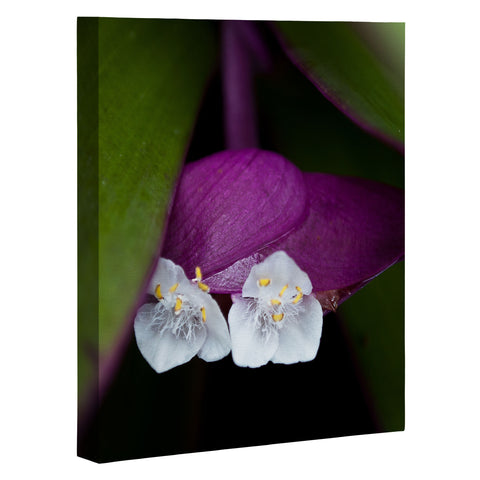 Bird Wanna Whistle Flower1 Art Canvas