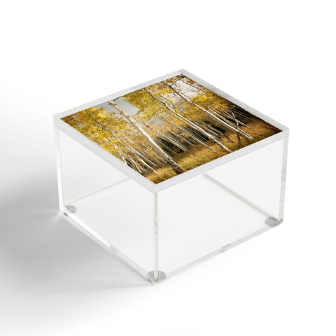 Bird Wanna Whistle Golden Aspen Acrylic Box