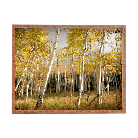 Bird Wanna Whistle Golden Aspen Rectangular Tray