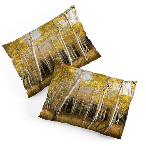 Bird Wanna Whistle Golden Aspen Pillow Shams