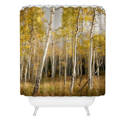 Bird Wanna Whistle Golden Aspen Shower Curtain
