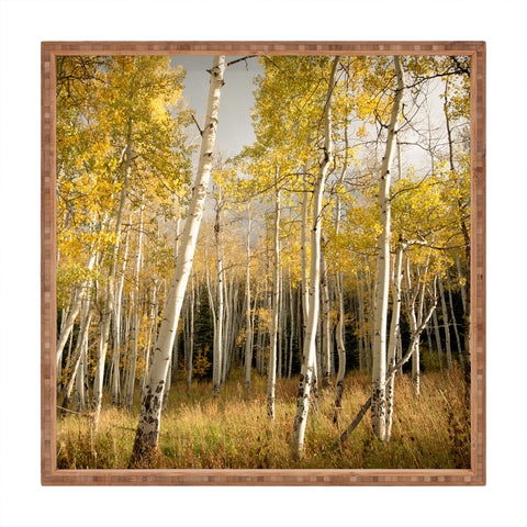 Bird Wanna Whistle Golden Aspen Square Tray