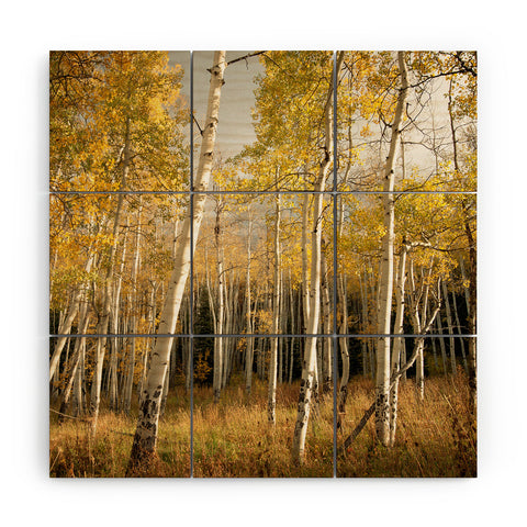 Bird Wanna Whistle Golden Aspen Wood Wall Mural