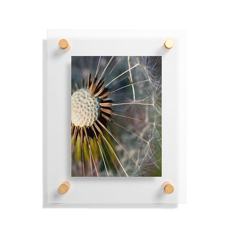 Bird Wanna Whistle Make a Wish Floating Acrylic Print