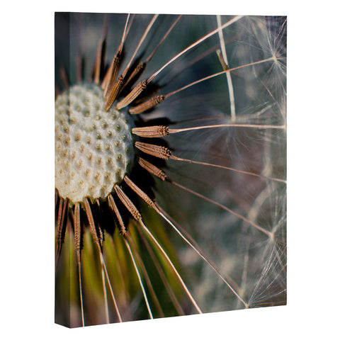 Bird Wanna Whistle Make a Wish Art Canvas