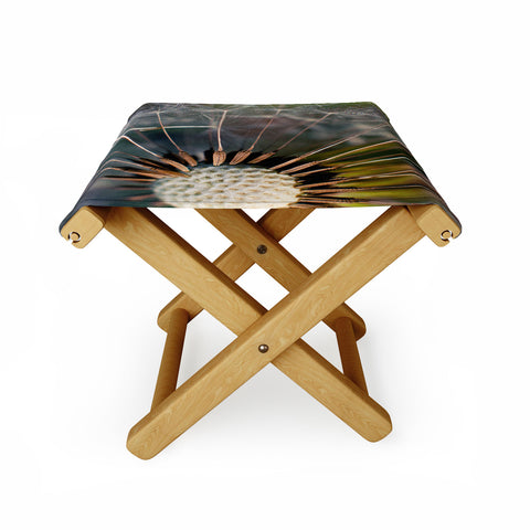 Bird Wanna Whistle Make a Wish Folding Stool