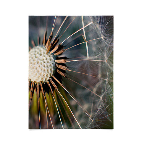 Bird Wanna Whistle Make a Wish Poster