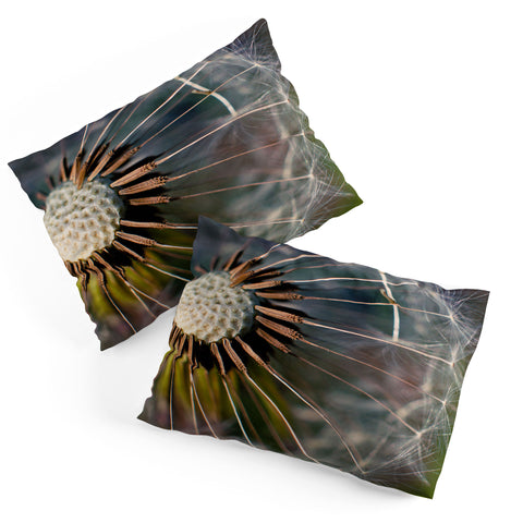 Bird Wanna Whistle Make a Wish Pillow Shams