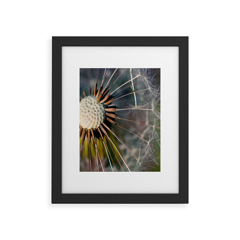 Bird Wanna Whistle Make a Wish Framed Art Print