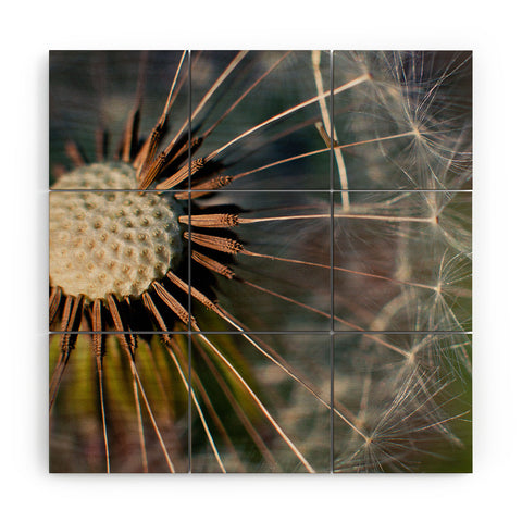 Bird Wanna Whistle Make a Wish Wood Wall Mural