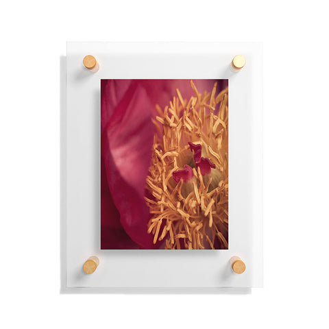 Bird Wanna Whistle Peony Moment Floating Acrylic Print