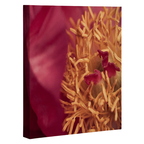 Bird Wanna Whistle Peony Moment Art Canvas