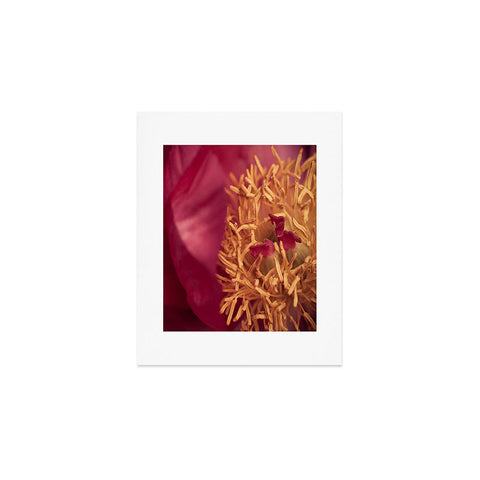 Bird Wanna Whistle Peony Moment Art Print