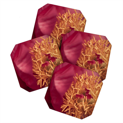 Bird Wanna Whistle Peony Moment Coaster Set