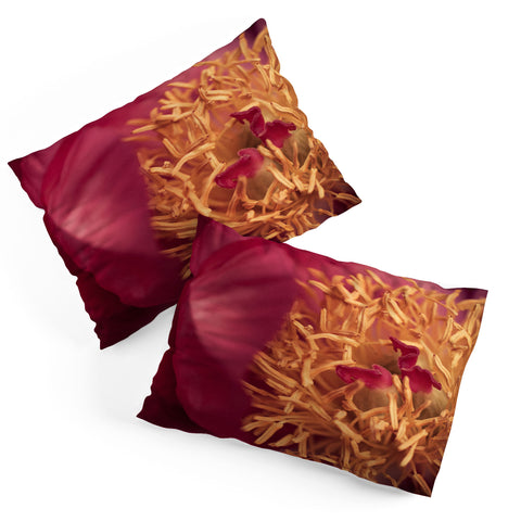 Bird Wanna Whistle Peony Moment Pillow Shams