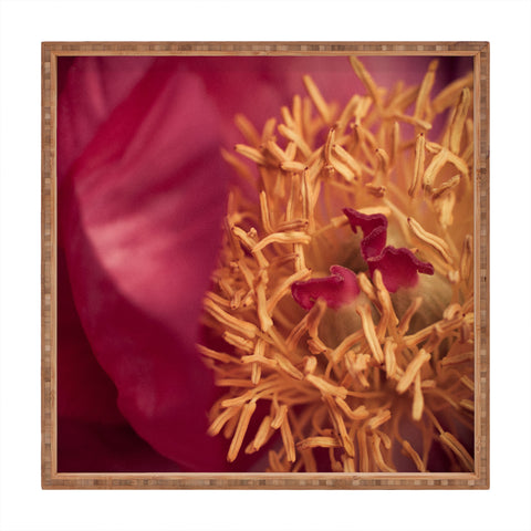 Bird Wanna Whistle Peony Moment Square Tray