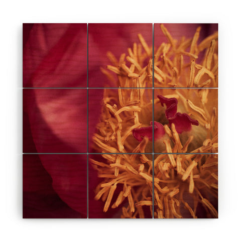 Bird Wanna Whistle Peony Moment Wood Wall Mural