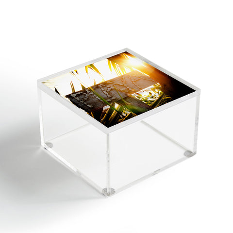 Bird Wanna Whistle Playa Acrylic Box