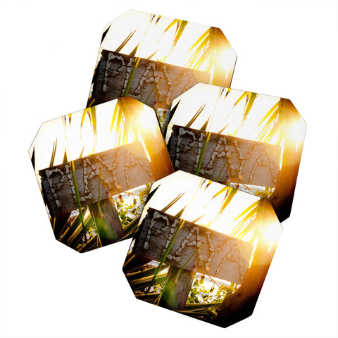 Bird Wanna Whistle Playa Coaster Set