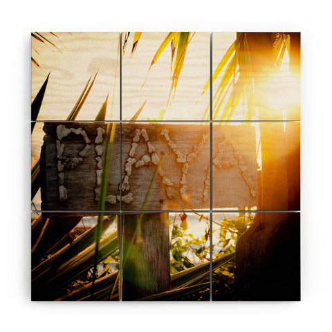 Bird Wanna Whistle Playa Wood Wall Mural