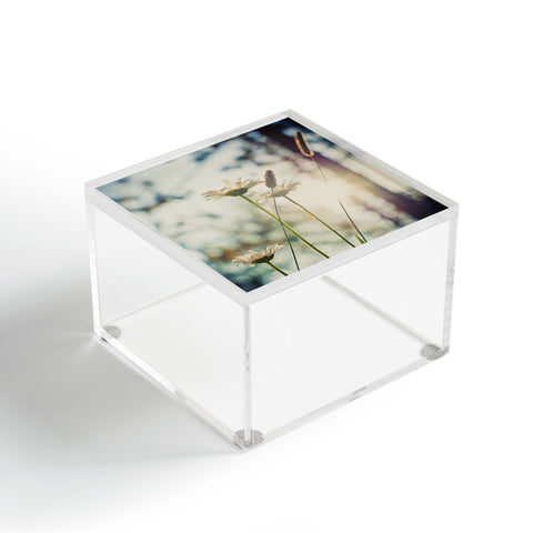 Bird Wanna Whistle Summers Past Acrylic Box