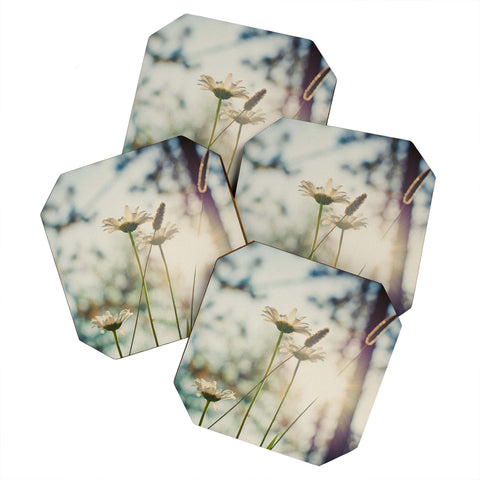 Bird Wanna Whistle Summers Past Coaster Set