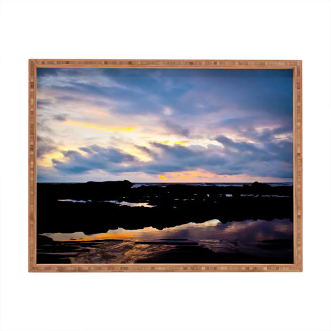 Bird Wanna Whistle Sunset Rectangular Tray
