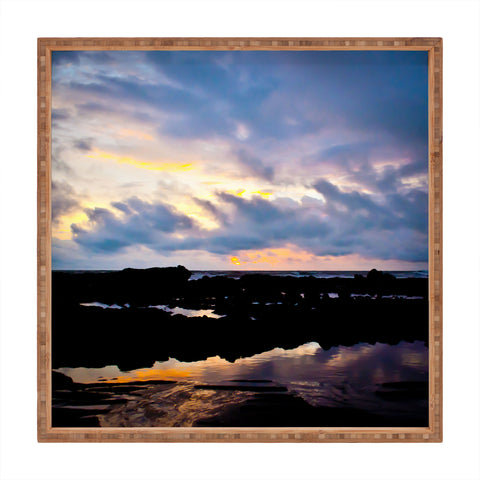 Bird Wanna Whistle Sunset Square Tray