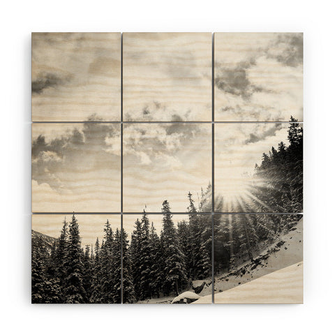 Bird Wanna Whistle White Mountain Wood Wall Mural