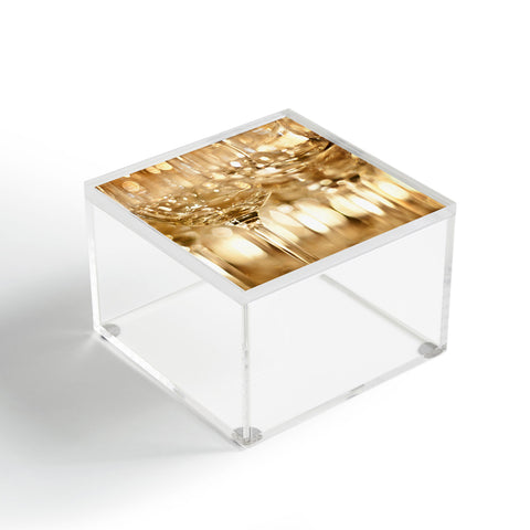 Bird Wanna Whistle Wine Glasses Acrylic Box