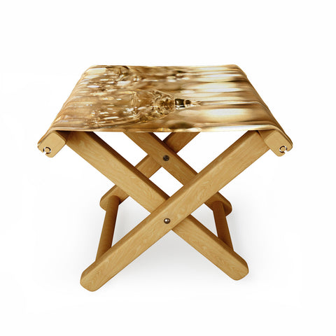 Bird Wanna Whistle Wine Glasses Folding Stool